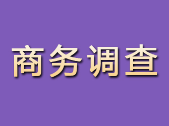 九龙商务调查